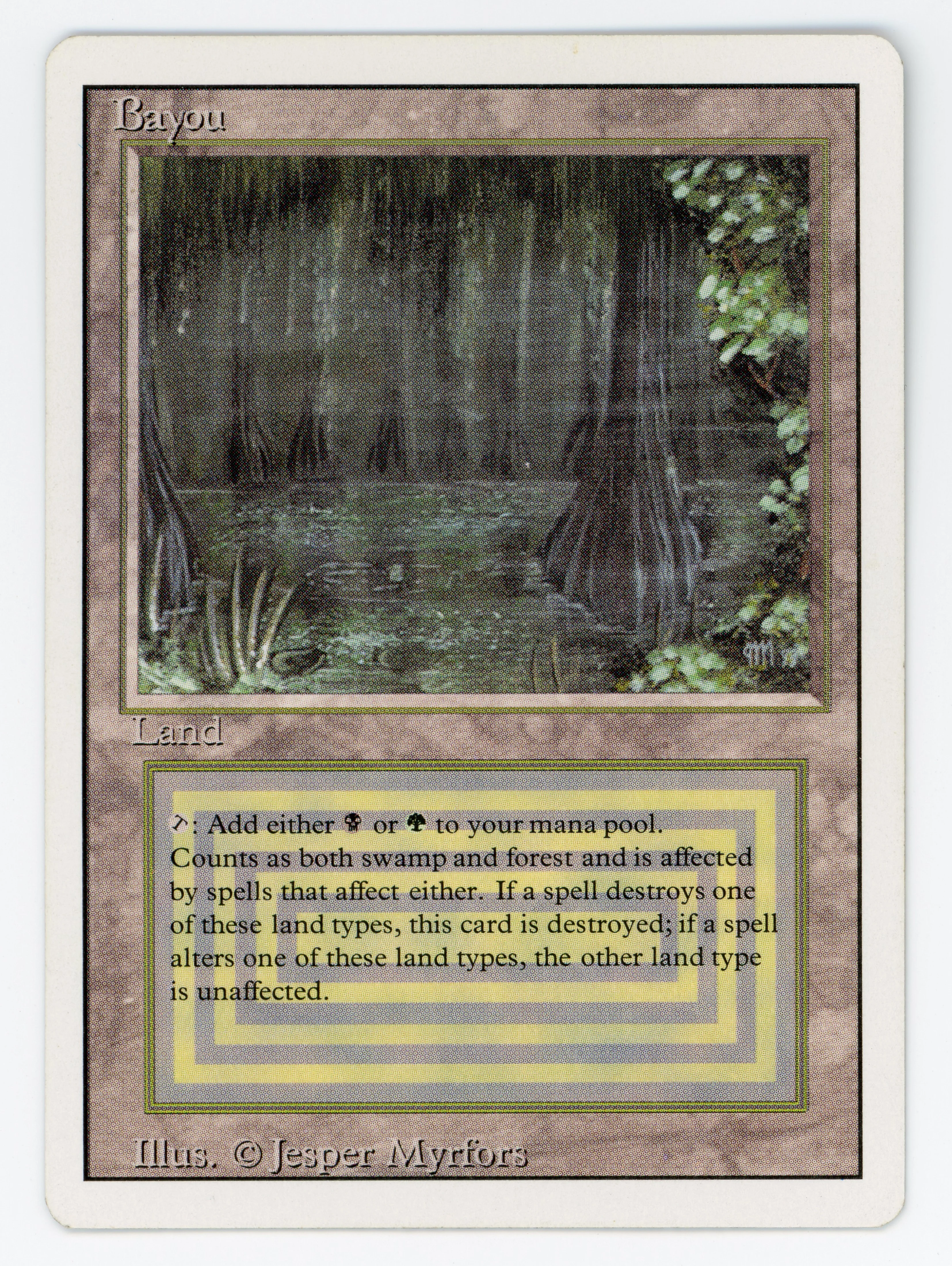 Bayou — Scan 15894