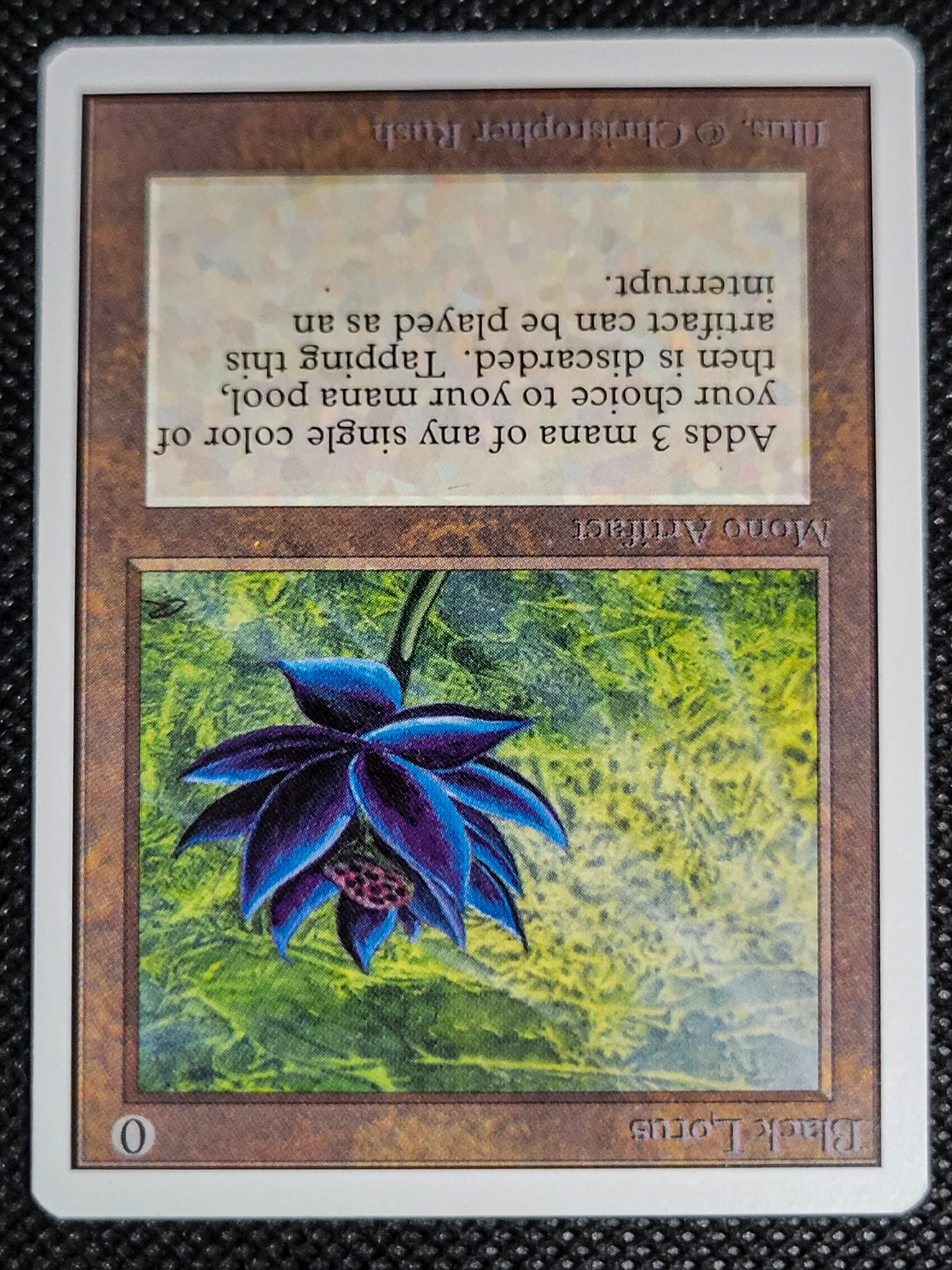Black Lotus — ID 16557 - Image 4