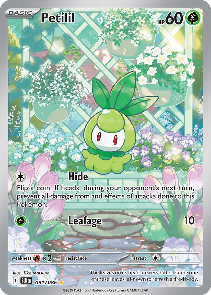 Petilil - 091/086 - Illustration Rare [sv105b-091] [Ultra]