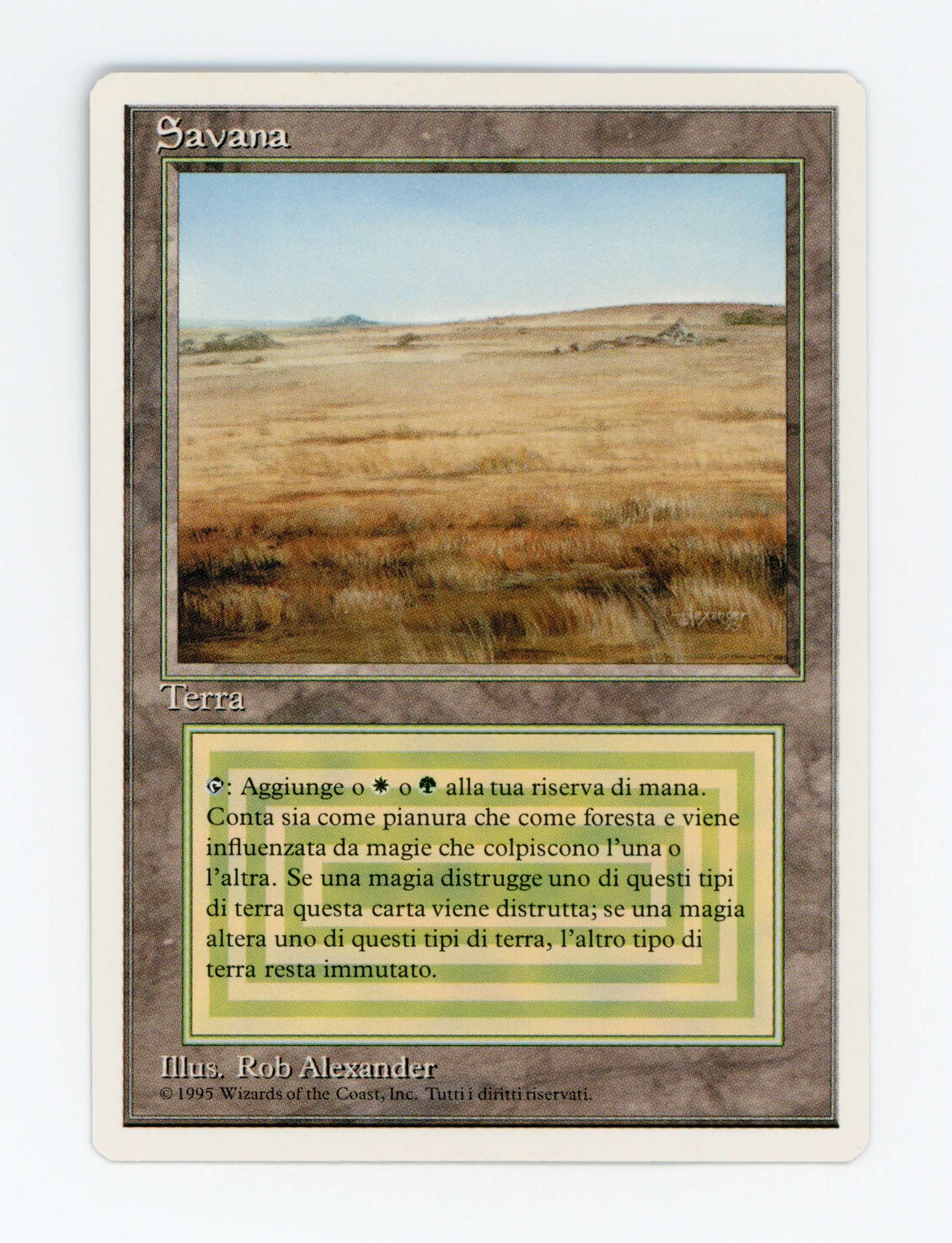 Savannah — Italian — ID 16407