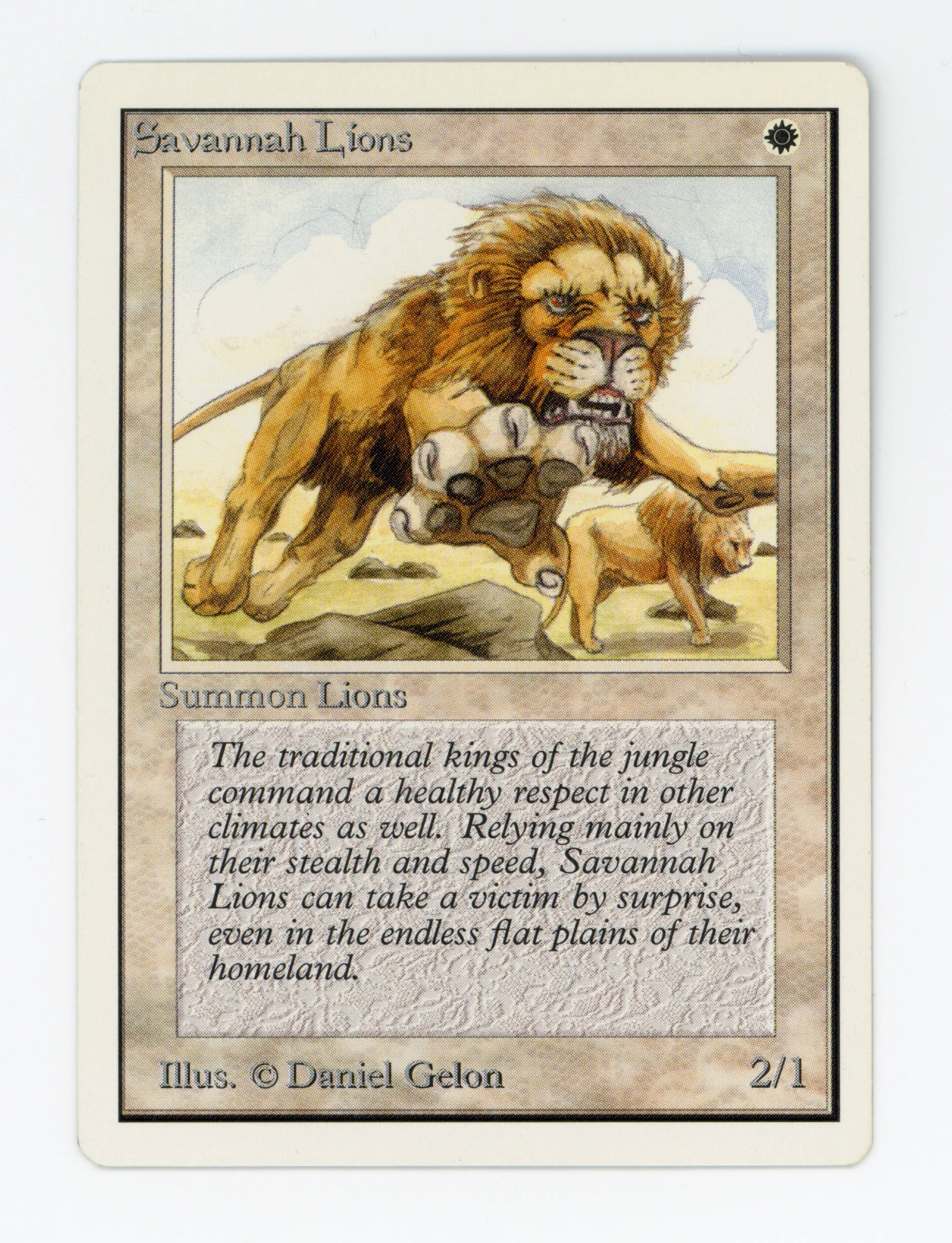 Savannah Lions — ID 16507