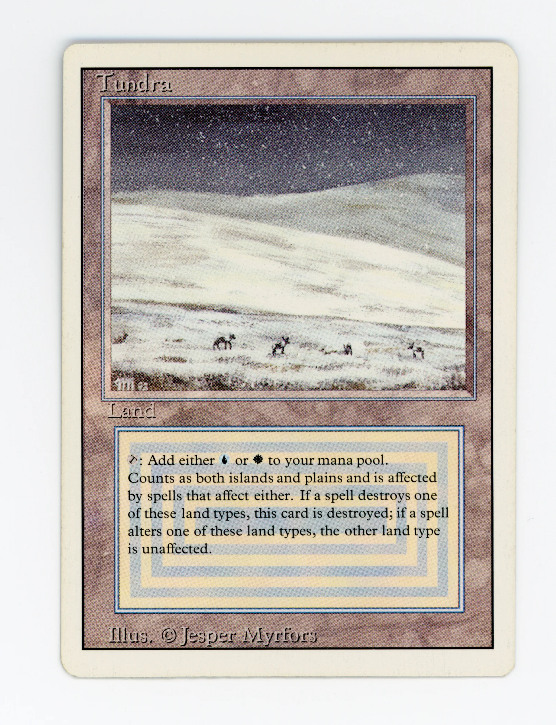 Tundra — ID 16427