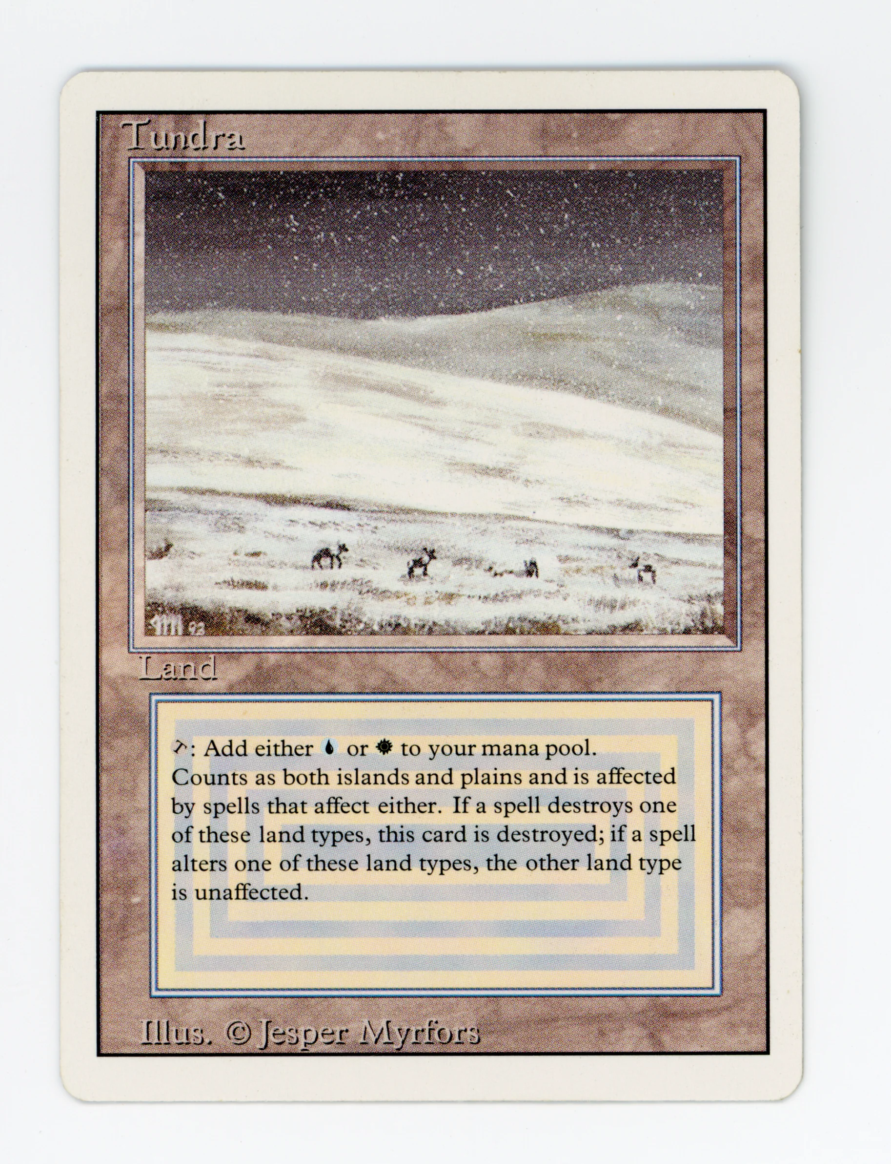 Tundra — ID 16430