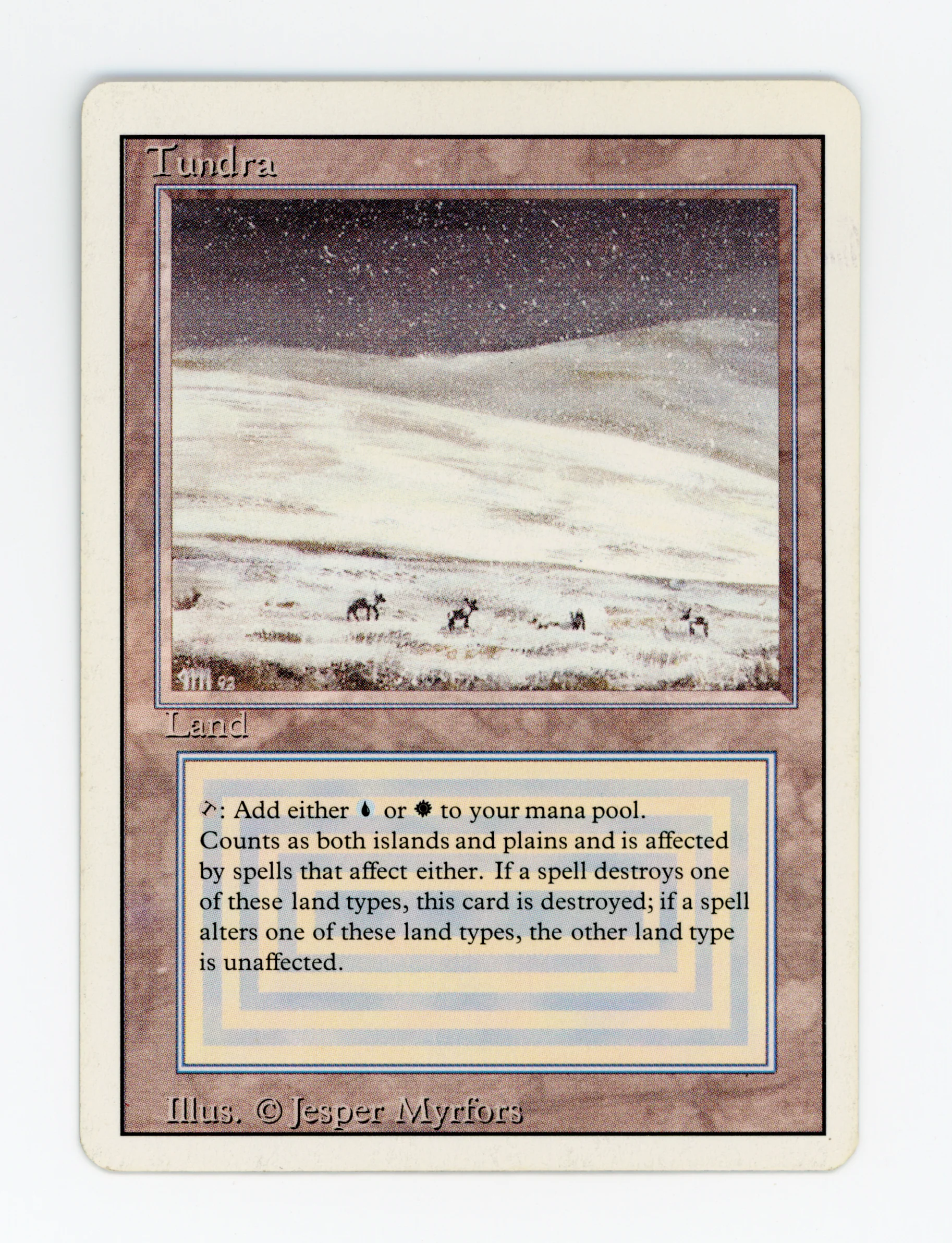 Tundra — ID 16431