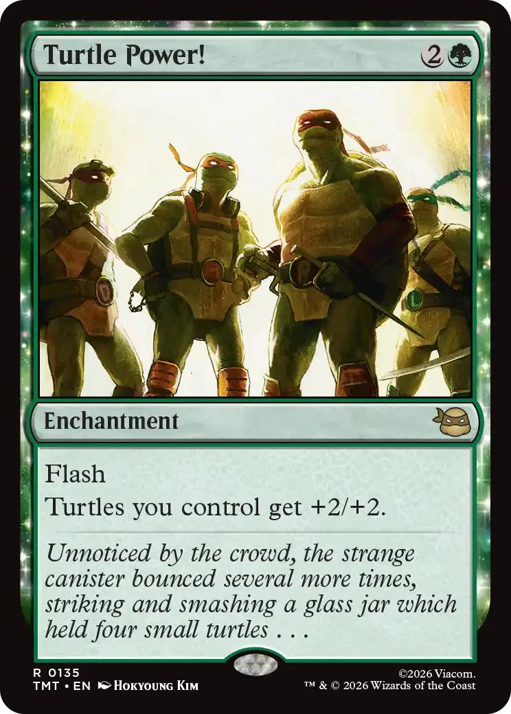 Turtle Power! [135] [Teenage Mutant Ninja Turtles] [Non-Foil]